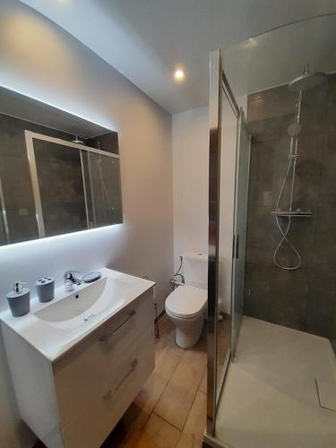 a bathroom with a shower and a toilet and a sink at Place 86 in La Reid