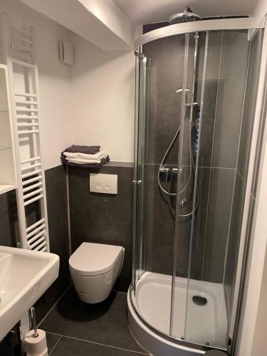 een badkamer met een douche, een toilet en een wastafel bij Fernweh Harz in Seesen