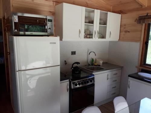 a kitchen with a white refrigerator and a sink at Parque Relicura in Palguín