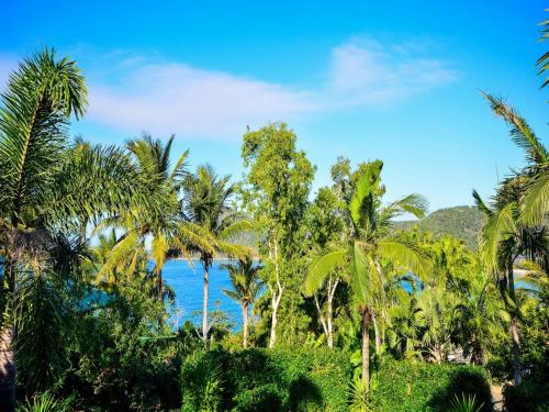 a view of the ocean through palm trees at The Palms on Hamilton Island in Hamilton Island