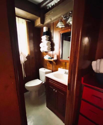 a bathroom with a toilet and a sink at Foot of the Mountain Motel in Boulder