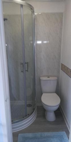 a bathroom with a toilet and a glass shower at Northdene Theatre Hotel in Blackpool