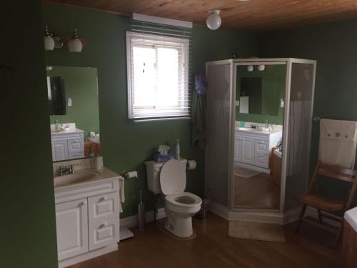 a bathroom with a shower and a toilet and a sink at beaver cottage in Red Bay