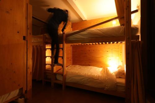 a cat standing on top of a bunk bed at ゲストハウスぷれぜんと in Tokyo