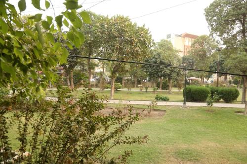 Jardin de l'établissement Hotel Pace Inn