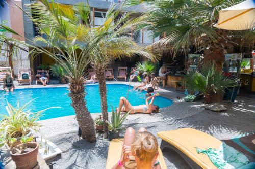 a group of people playing in a swimming pool at Banana's Adventure Hostel in Ica