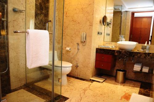 Koupelna v ubytování Radisson Blu Plaza Delhi Airport