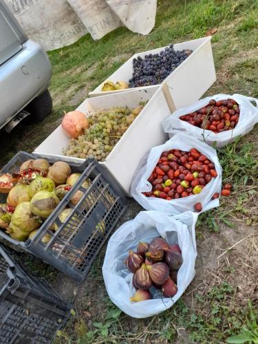 four boxes of fruits and vegetables sitting on the ground at Chateau Sukaj in Laknas