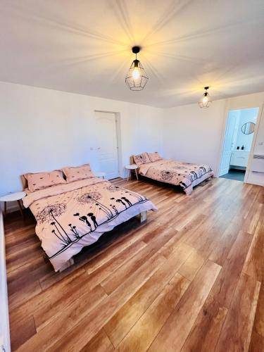 a bedroom with two beds and a wooden floor at Master Adventure Guest House in Vadul lui Carol II