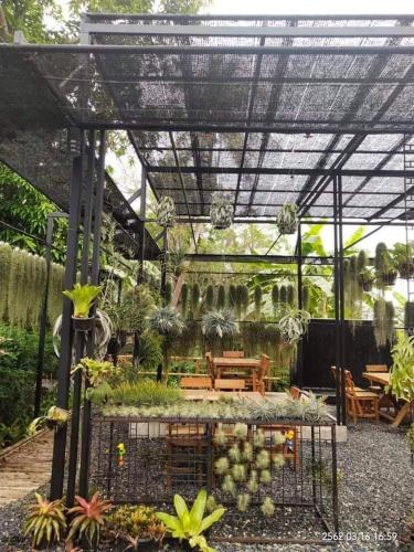 un jardín con pérgola, mesas y plantas en ทิลแลนด์เซีย รีสอร์ท, en Thanya Buri