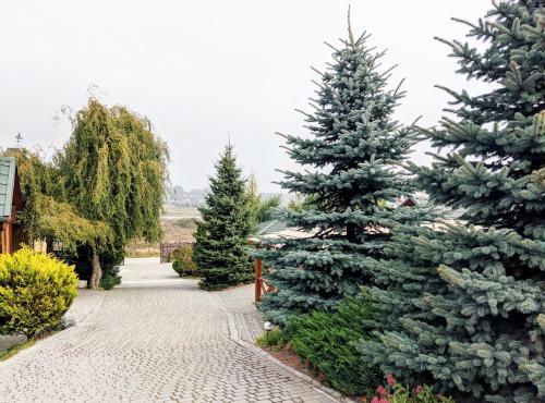 Fotografie z fotogalerie ubytování Берекавиця v destinaci Zavadiv