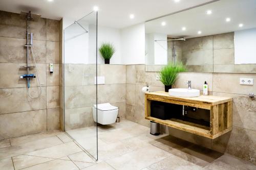 a bathroom with a shower and a toilet and a sink at Smart Resorts Haus Opal Ferienwohnung 401 in Winterberg