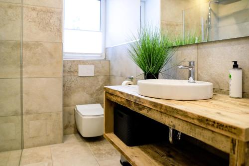 uma casa de banho com um lavatório e um WC em Smart Resorts Haus Opal Ferienwohnung 402 em Winterberg