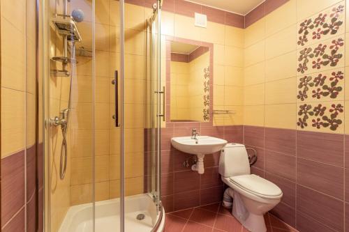 a bathroom with a toilet and a sink and a shower at Leśny Dwór in Murzasichle