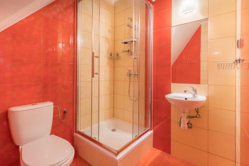 a bathroom with a shower and a toilet and a sink at Leśny Dwór in Murzasichle