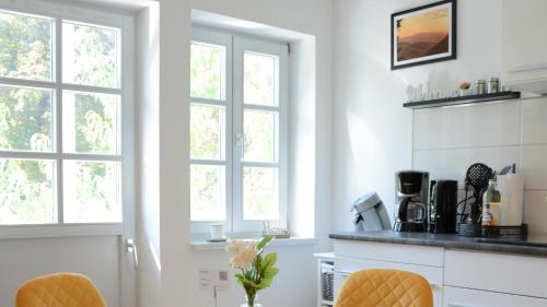 a white kitchen with two windows and a counter at Rosenwinkel Appartement im OG in Halberstadt