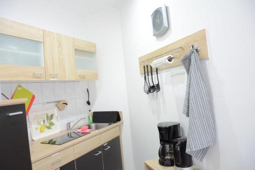 uma pequena cozinha com um lavatório e um balcão em Charmantes tierfreundliches Gästeappartement em Harsleben