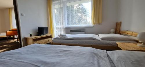 a bedroom with two beds and a window at HOTEL SVRATKA in Svratka