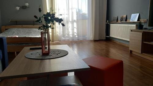 Fotografia z galérie ubytovania Apartament 3-go Maja v destinácii Kartuzy