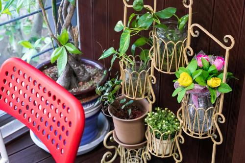 a bunch of plants in glass vases on a shelf at Four Seasons Pension in Suncheon