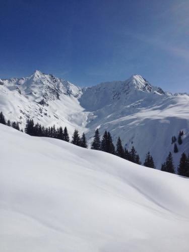 a snow covered mountain with trees in the background at Ferienwohnung Thöny Vandans in Vandans