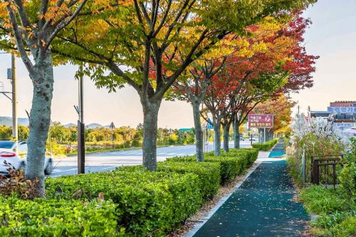 a sidewalk with trees and a street with a car at Four Seasons Pension in Suncheon