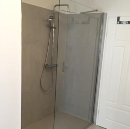 a shower in a bathroom with a glass door at Gästehaus Ritter & Pacia, Ferienwohnung 2. Etage in Sangerhausen