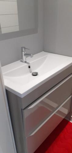 ein weißes Waschbecken im Bad mit einem roten Teppich in der Unterkunft Studio meublé 27m2 - Entrée privée in Demange-aux-Eaux