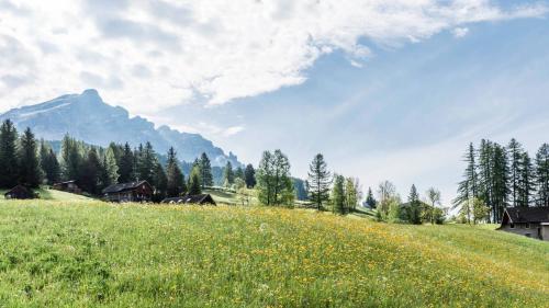 a green field with a mountain in the background at Miraval NaturHotel in Badia