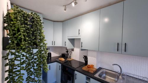 Haxby House by Switchback Stays photo 26