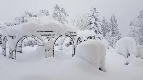 a garden covered in snow with trees in the background at Haus Idili in Sankt Gallenkirch