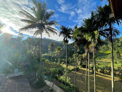 a view of palm trees from a house at Marvellous Inn in Ella