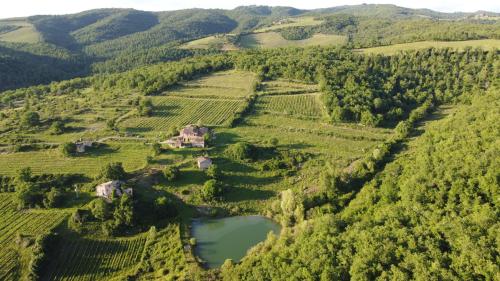 an aerial view of a vineyard with a house and a lake at Agriturismo Podere Tegline in Radda in Chianti