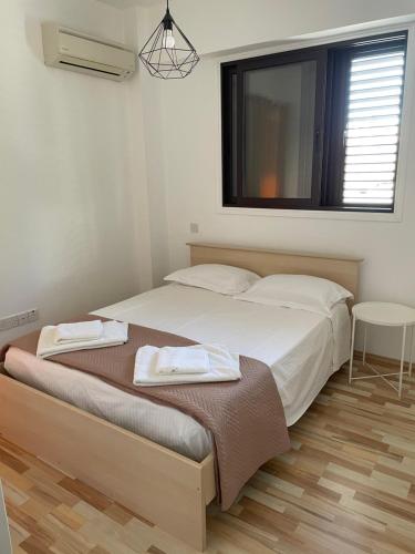 1 dormitorio con 2 camas y ventana en Modern Luxury Apartment in the heart of Nicosia, en Nicosia