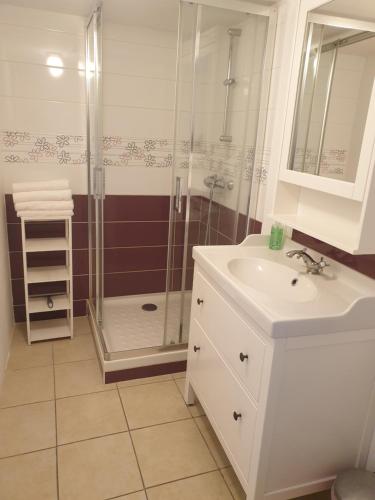 a bathroom with a shower and a white sink at À flanc de colline in Cormeilles