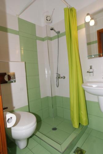 a bathroom with a shower and a toilet and a sink at Ilias Studios in Patitiri