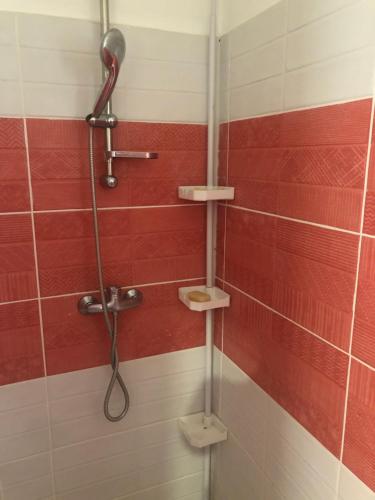 a shower in a bathroom with red and white tiles at Kaban‘ Malaka in Petit-Bourg