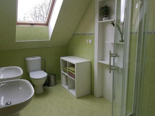 a green bathroom with a toilet and a sink at Apartmán V aleji in Slavkov u Brna