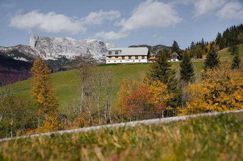 Egger-Gut – Photos 5