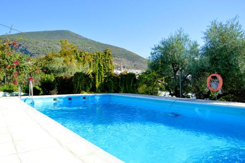 a large blue swimming pool with a mountain in the background at EcoAlbergue Rural de Algodonales in Algodonales