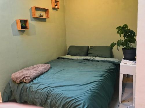 um quarto com uma cama com uma planta e uma mesa em Chambre privative au cœur de Liège maison d hôte chez l habitant em Liège