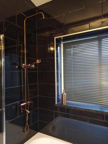a bathroom with a shower and a sink and a window at Alegria rustica in Envendos