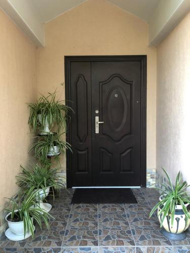 a black door with two potted plants in front of it at УЮТНЫЙ ДОМ ДЛЯ ОТДЫХА, город-Бендеры ,Приднестровье in Bender