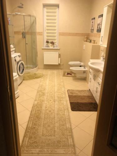 a bathroom with a shower and two toilets and a sink at УЮТНЫЙ ДОМ ДЛЯ ОТДЫХА, город-Бендеры ,Приднестровье in Bender