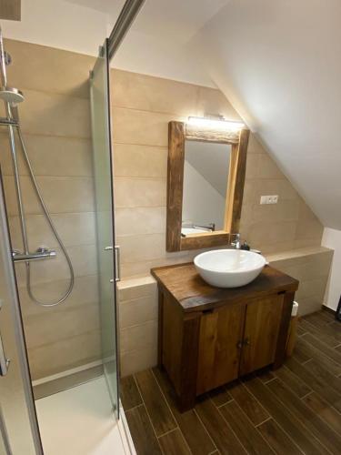 a bathroom with a sink and a shower with a mirror at Chata Klinger in Banská Štiavnica