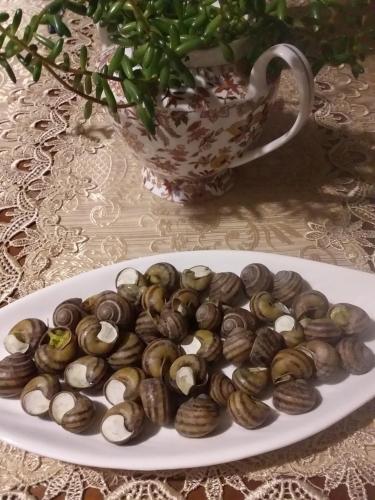 a plate of clams on a table with a vase at Akhaltsikhe hotel “Sunny House” in Akhaltsikhe