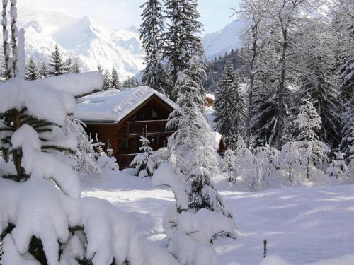 冬のMadame Vacances Les Chalets De La Taniaの様子