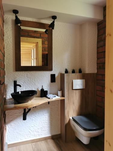 a bathroom with a sink and a toilet and a mirror at DOMEK POD CZEREMCHĄ, jacuzzi in Zawóz