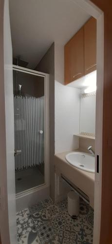 une petite salle de bain avec un lavabo et une douche dans l'établissement Au Coeur de Prémanon, à Prémanon