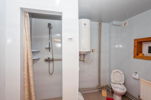 a bathroom with a shower and a toilet at Smerekova Hata in Yablunytsya